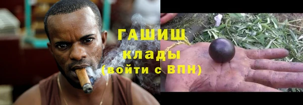 стаф Магадан