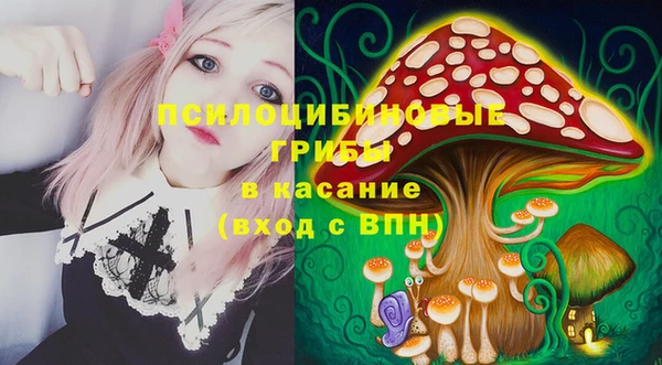 стаф Магадан
