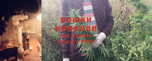 стаф Магадан