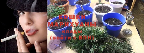стаф Магадан