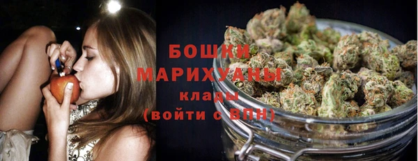 стаф Магадан
