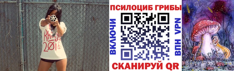 Купить Дрезна Псилоцибиновые грибы Cubensis